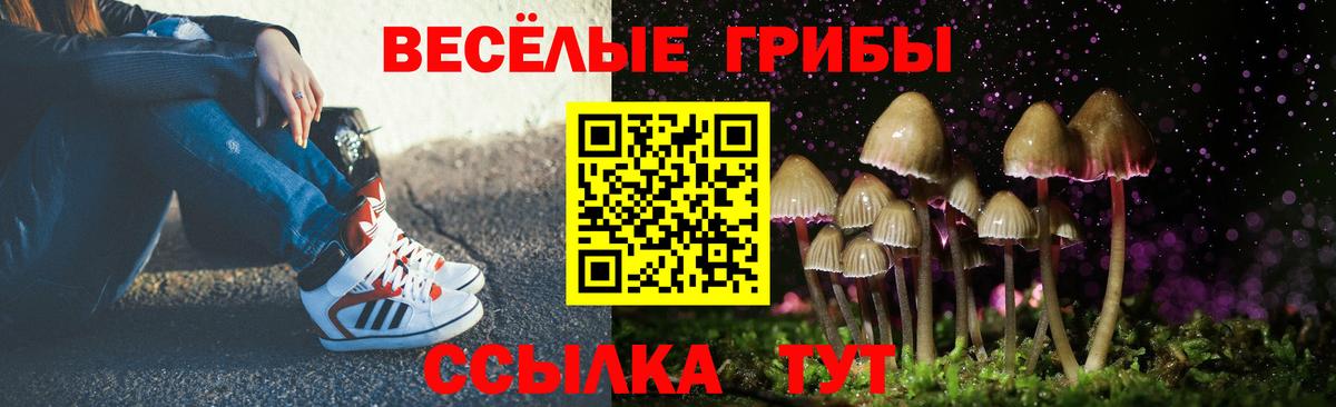 Псилоцибиновые грибы Cubensis  Галлюциногенные грибы ЛСД  Людиново  Вход с VPN 